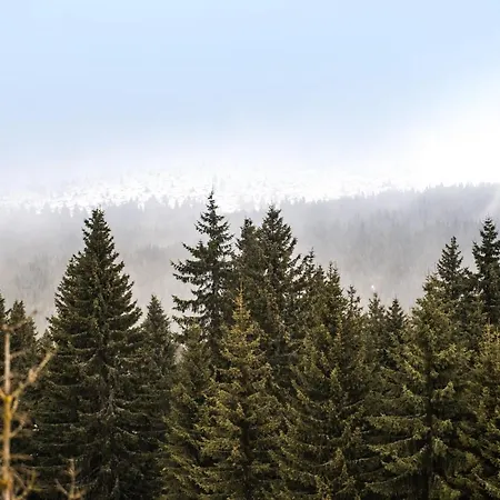 Lägenhet Dream Konaci