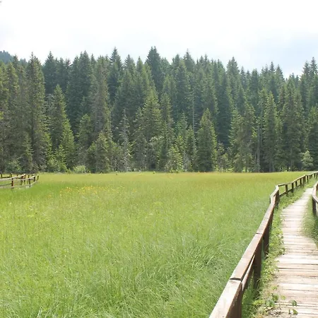 Lägenhet Dream Konaci